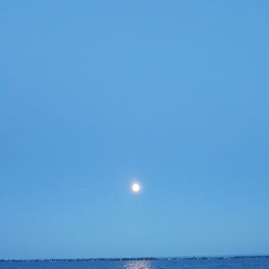 Meet your Posher, Ken